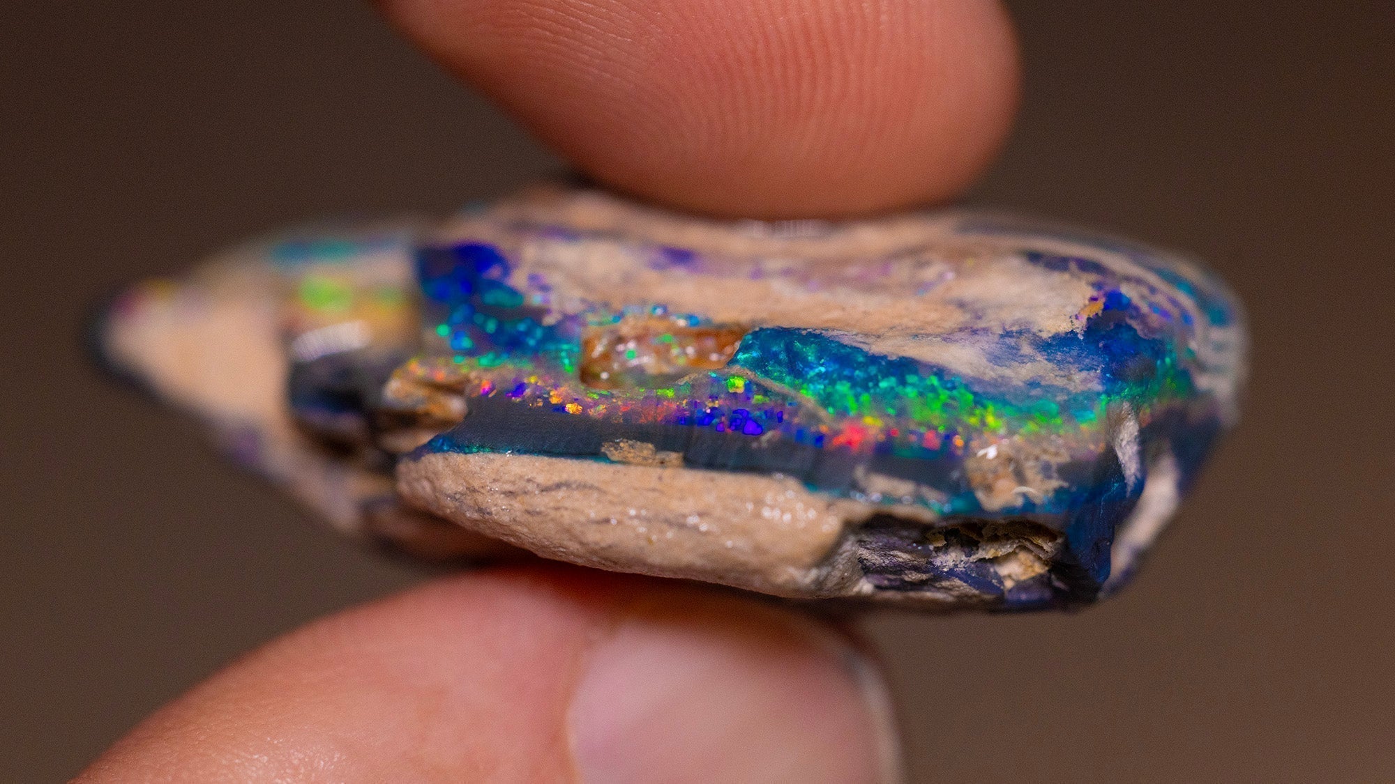 The Reality of Opal