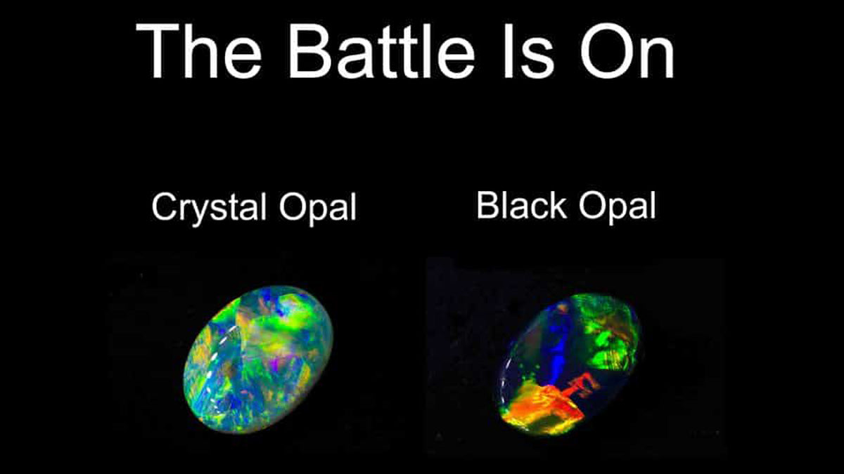 Black Opal vs Crystal Opal