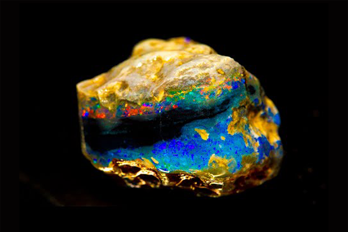 Wyoming Field Nobby Opal
