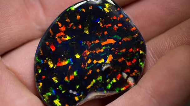 Harlequin Opal: The Rarest Black Opal Pattern of them All