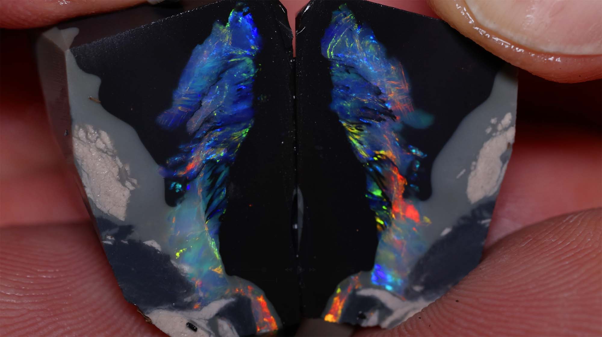 Saxon's First Purchase