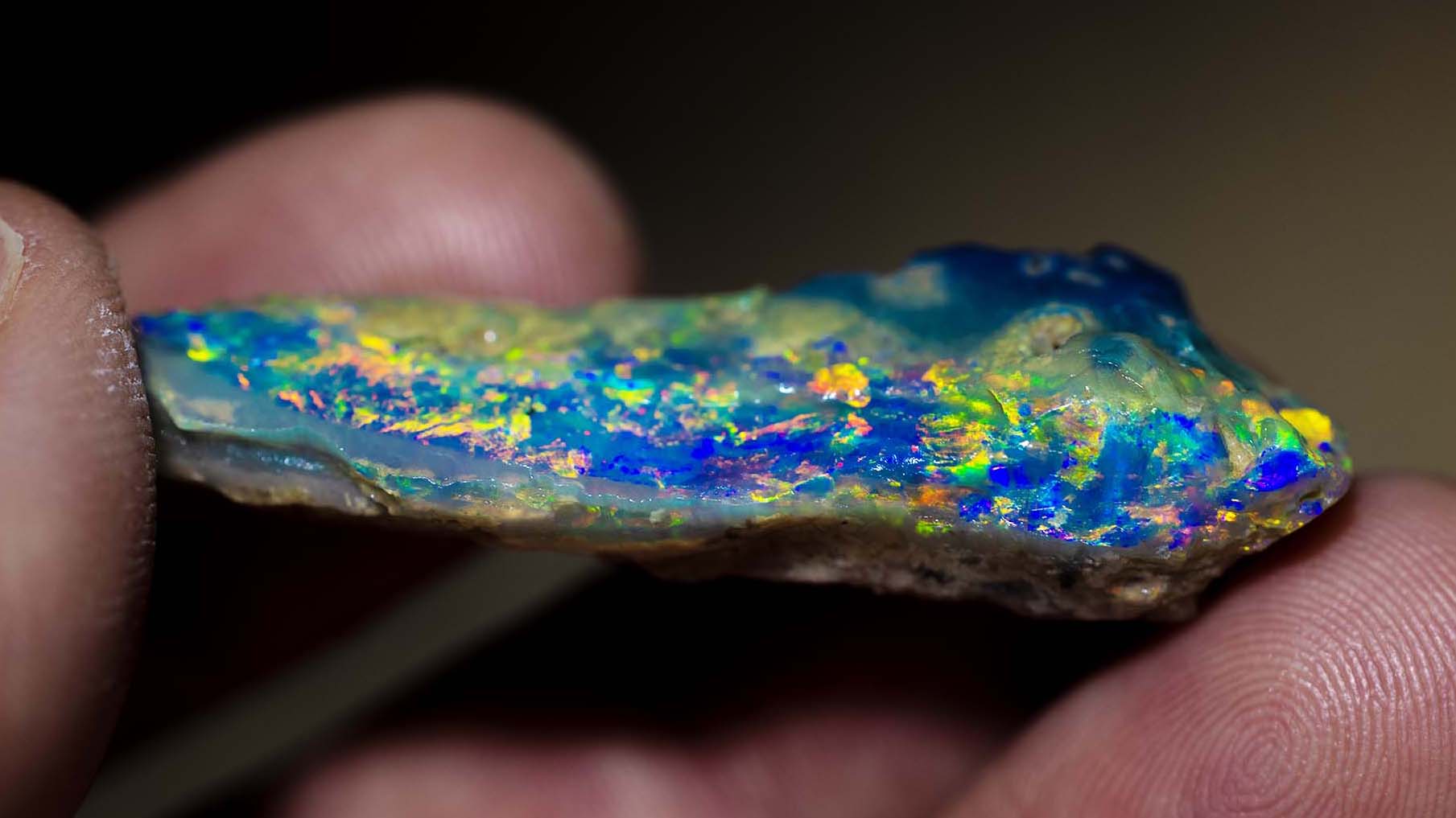 Opal Gains and Opal Losses
