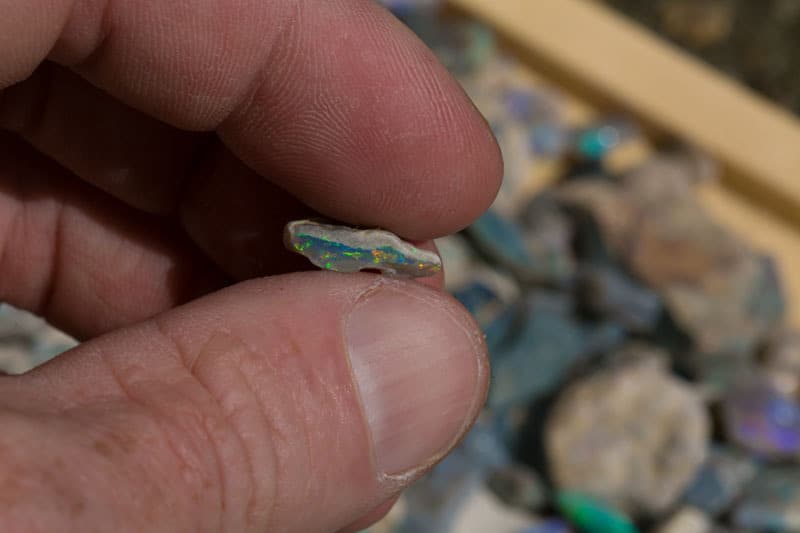1.6 kilos of rough opal