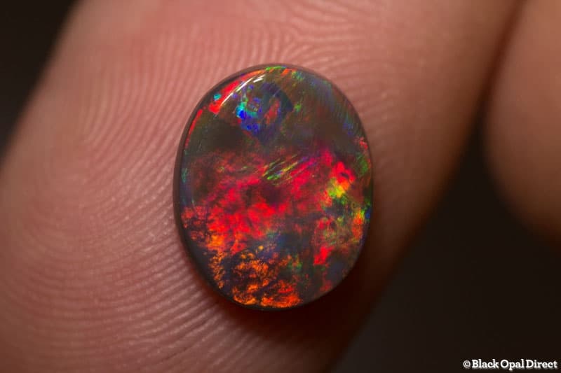 1.93 ct gem black opal 11x9x3mm
