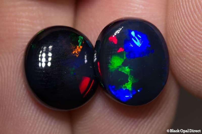 10.20 ct black opal pair 12x11mm
