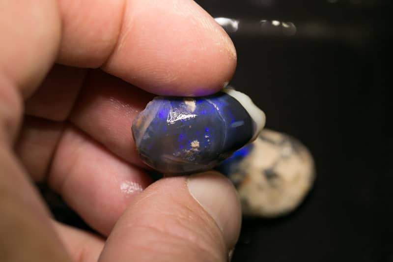 125 ct rough opal parcel 5pc for intermediate lvl