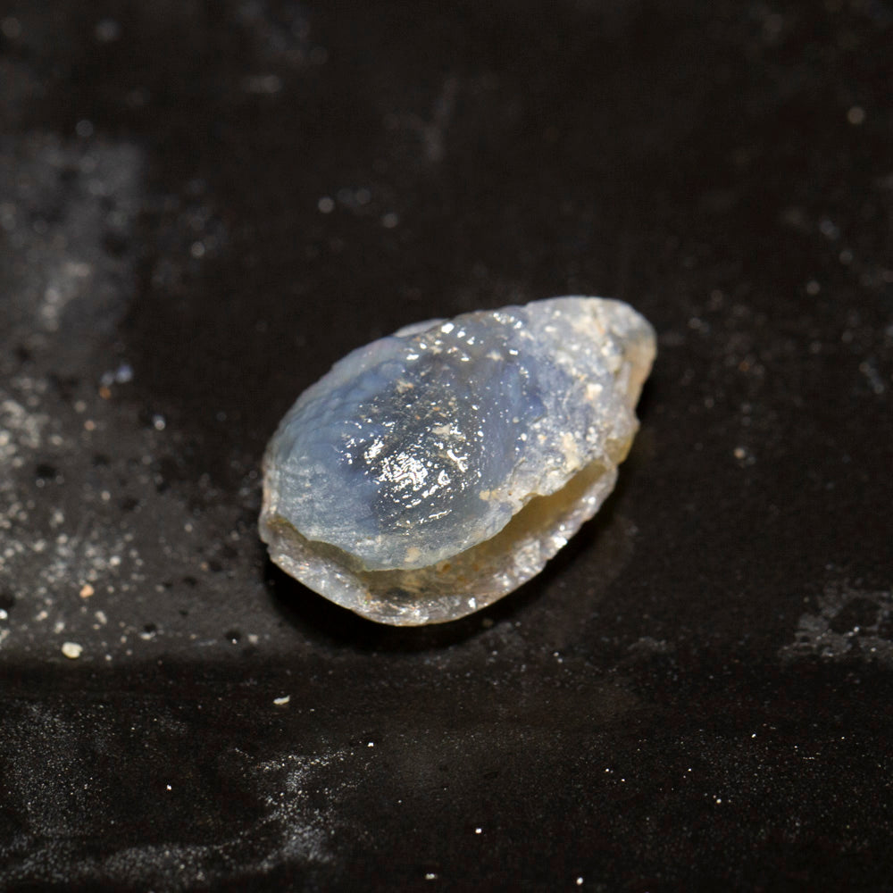 13.97 ct opal fossilised shell 22.1x13.8x10mm