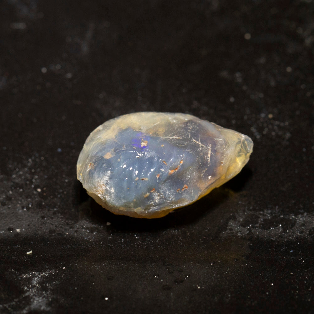 13.97 ct opal fossilised shell 22.1x13.8x10mm