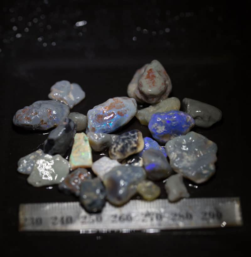 174ct Beginners Rough Opal with Video Tutorials