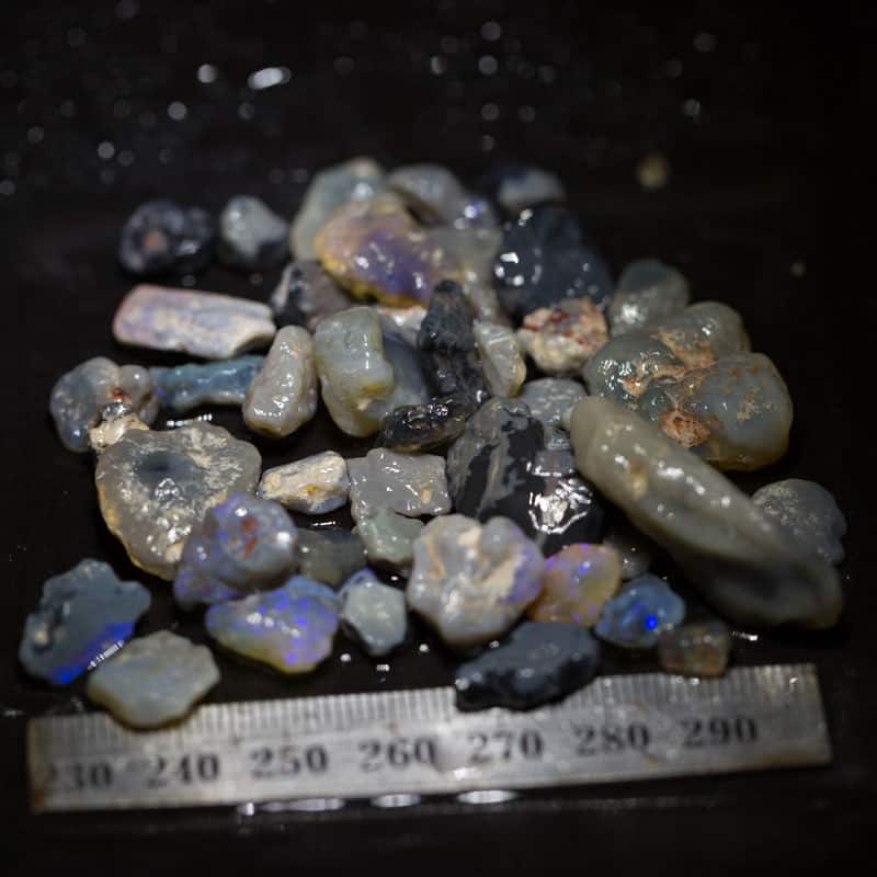 174ct Beginners Rough Opal with Video Tutorials