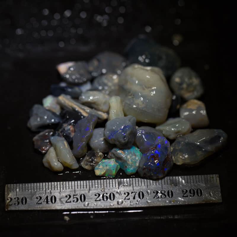 174ct Beginners Rough Opal with Video Tutorials