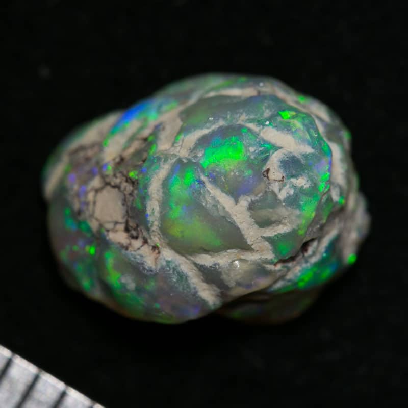 2-50ct-pine-cone1