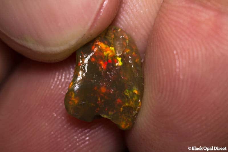 2.96 ct rough opal piece 13mm across