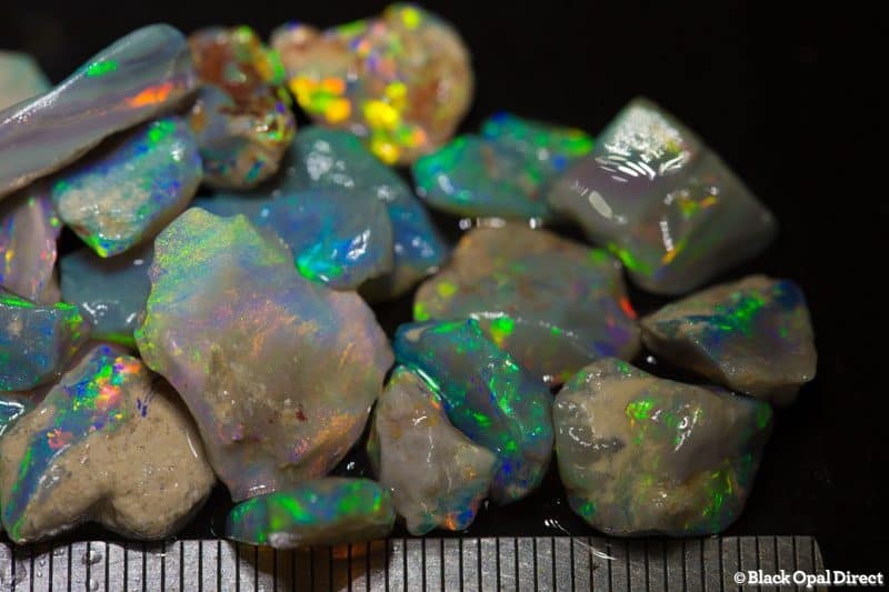 22pc 66 ct rough opal parcel2