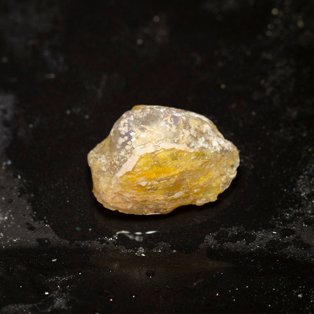 26.80 ct opal fossilised shell 24.7x18.2x12.6mm