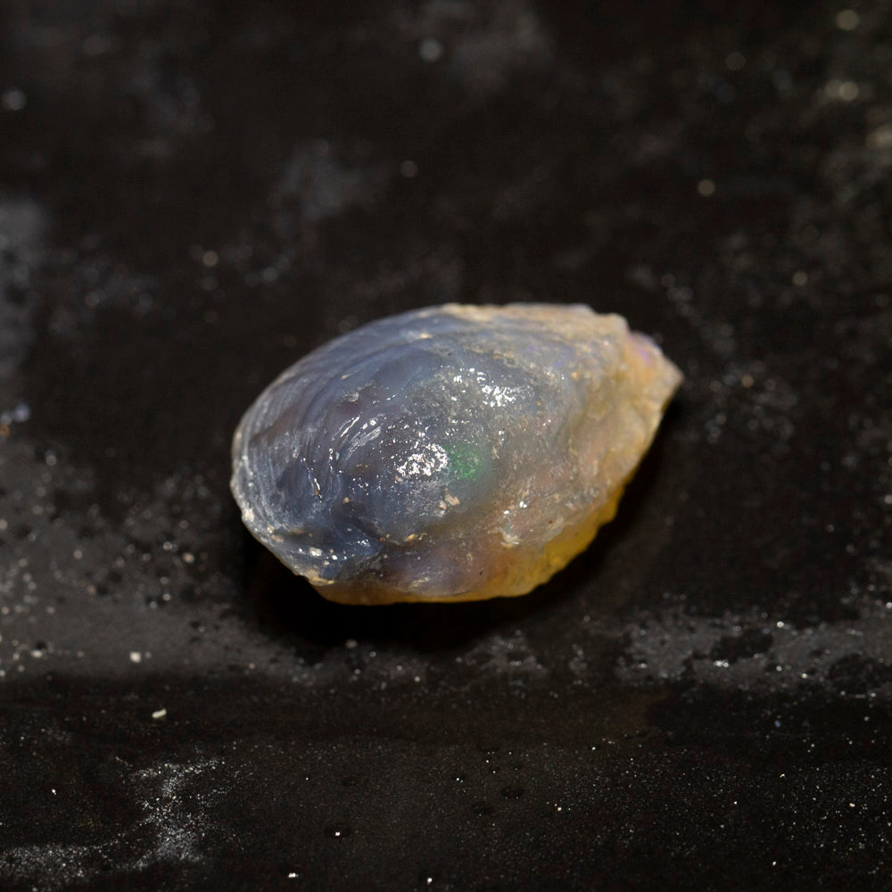 28.04 ct opal fossilised shell 27x18.1x13.2mm