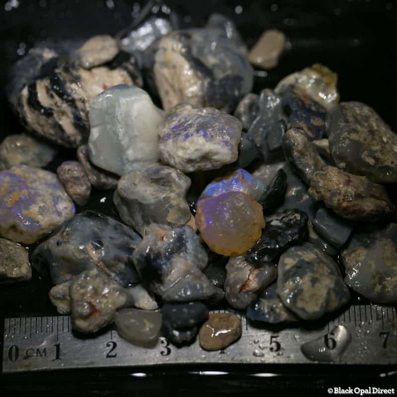 297ct rough opal parcel