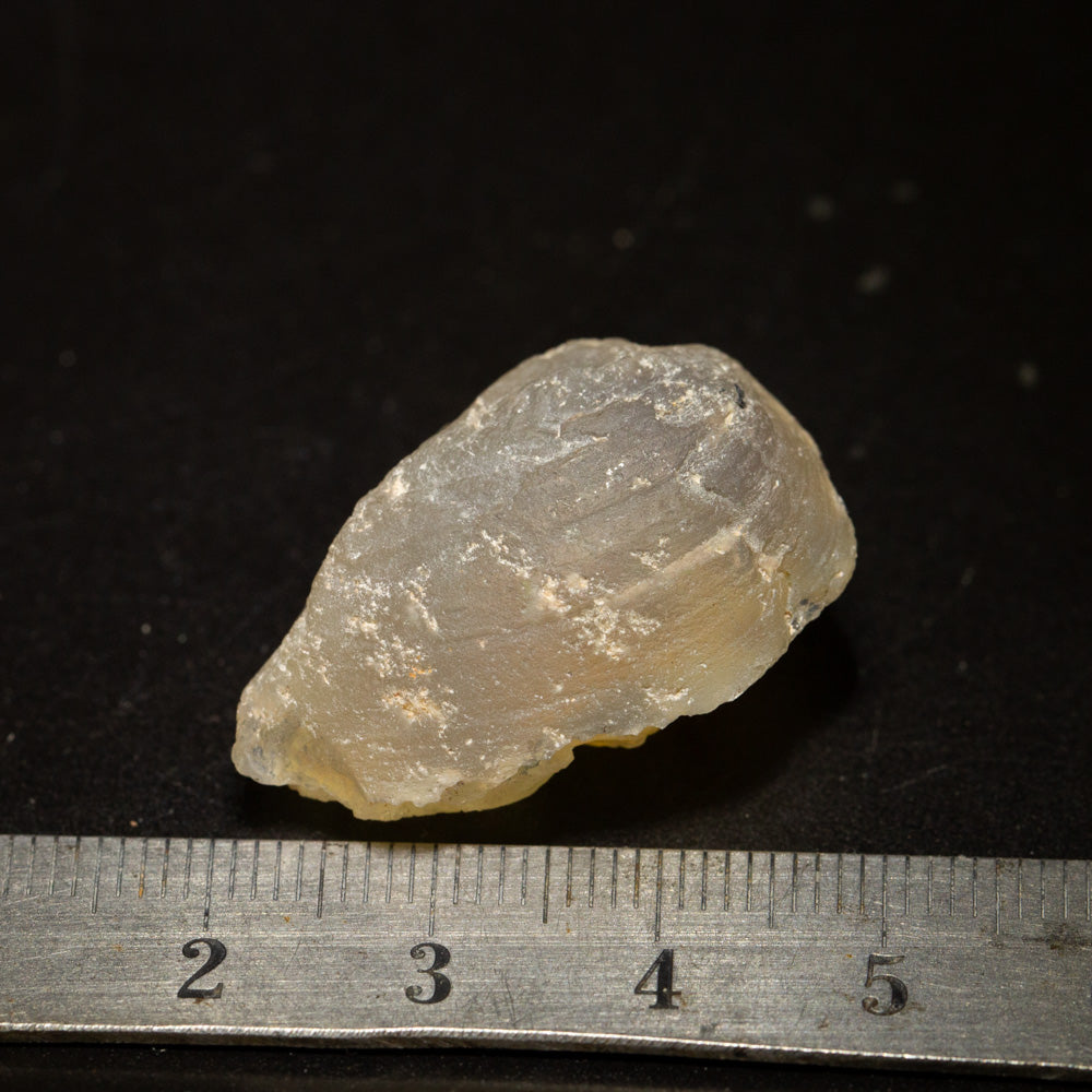 38.86 ct opal fossilised shell 30x19.5x14.8mm