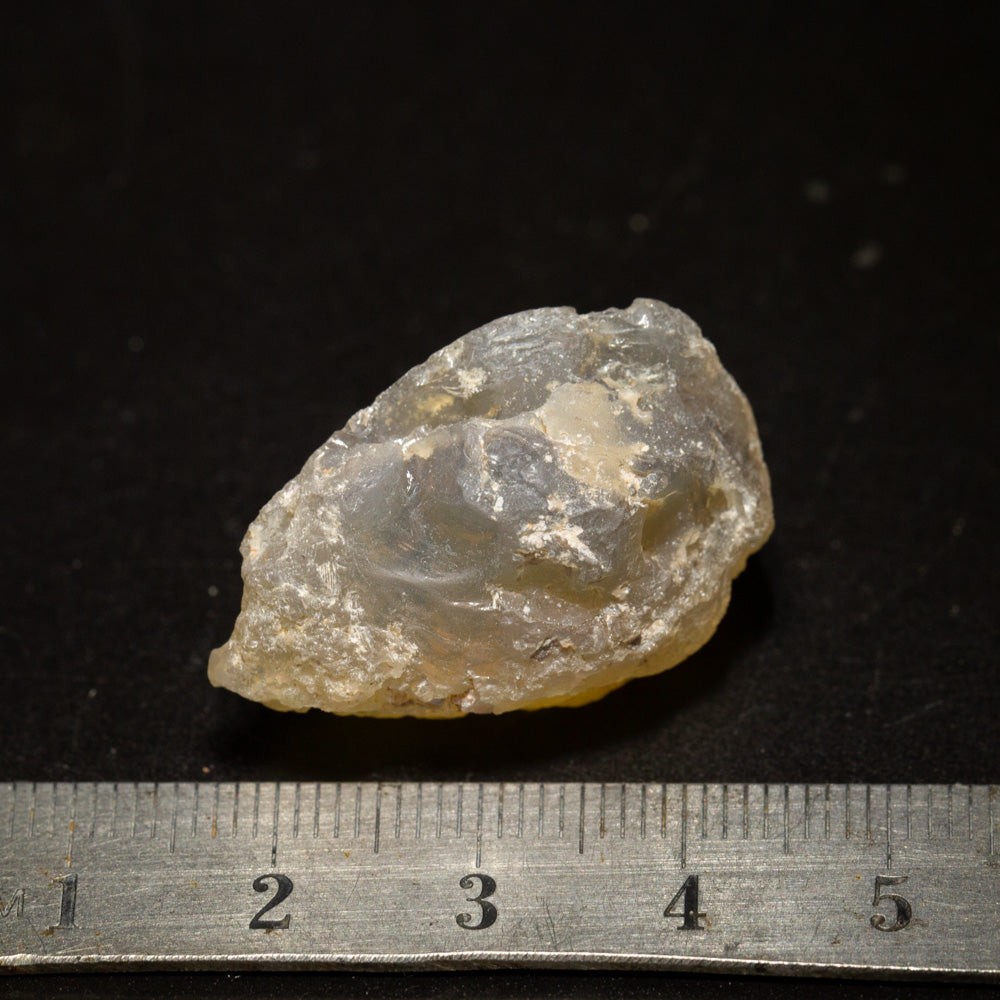 38.86 ct opal fossilised shell 30x19.5x14.8mm