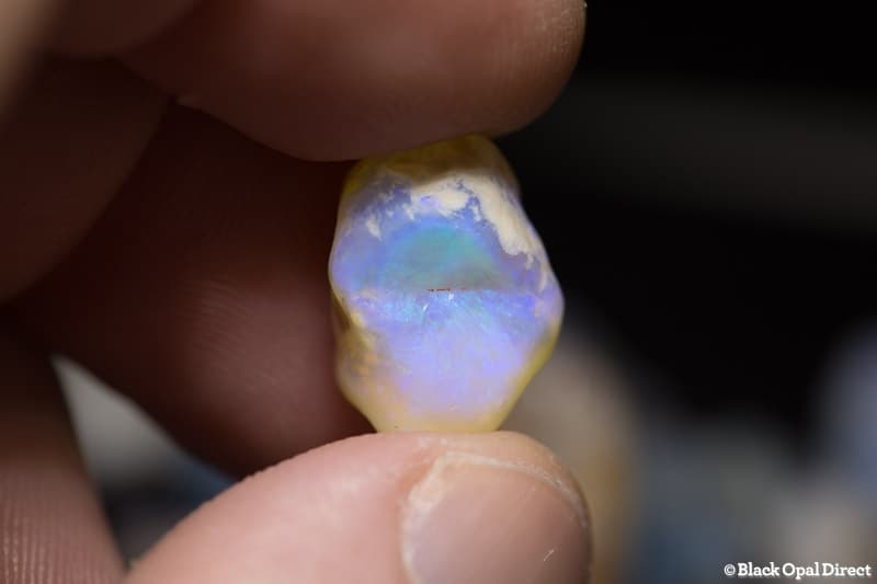 367 ct rough opal beginners parcel