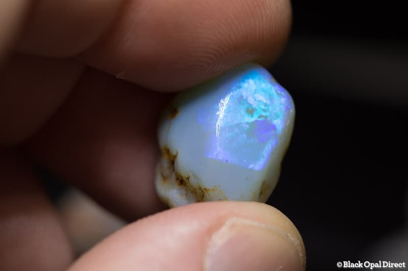 367 ct rough opal beginners parcel