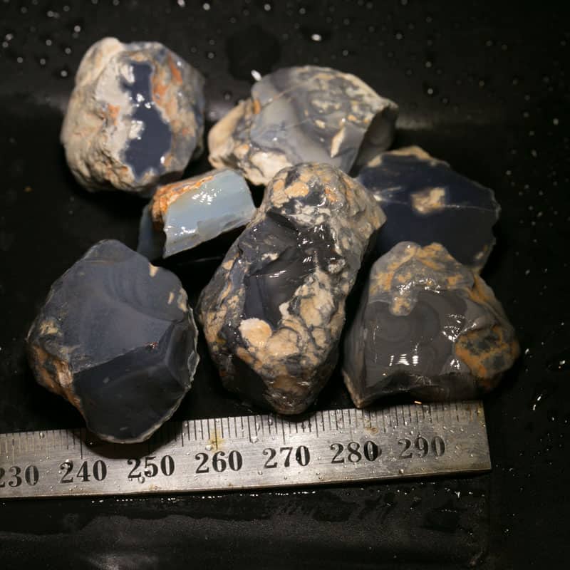 389ct-black-potch