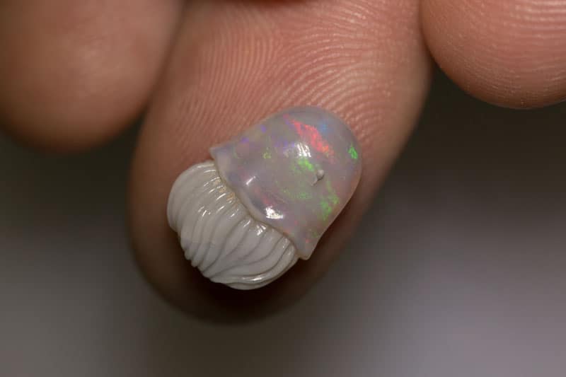 4.56ct opal jellyfish carving 15x11x5mm