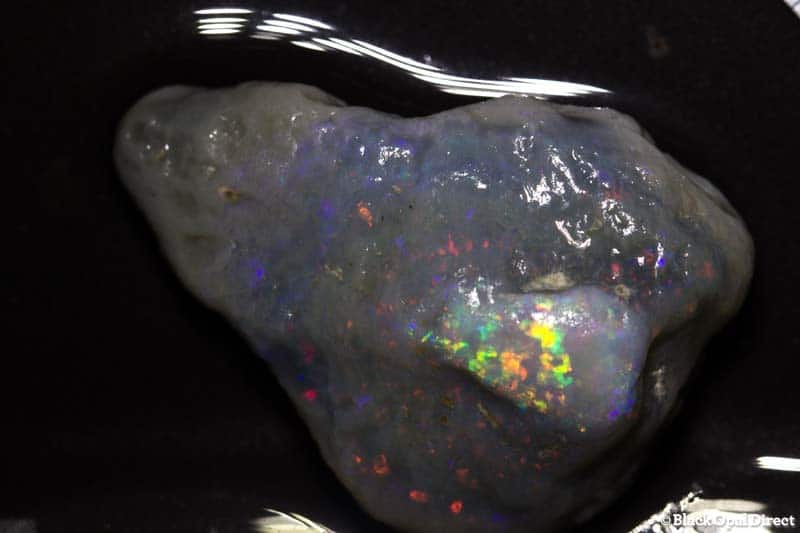 41.27 ct rough opal piece 33mm across