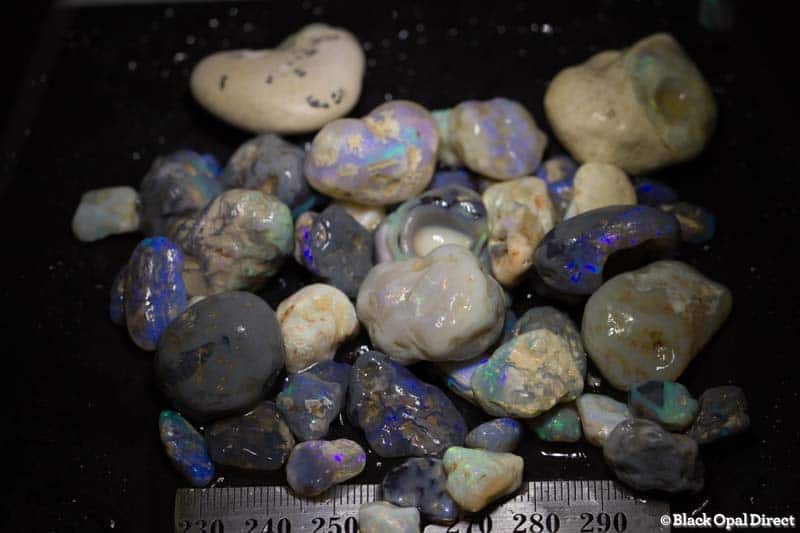467 ct rough opal parcel for beginners and intermediate