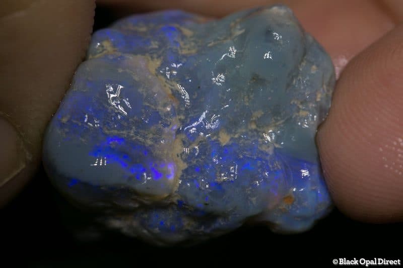 49.81ct rough opal piece