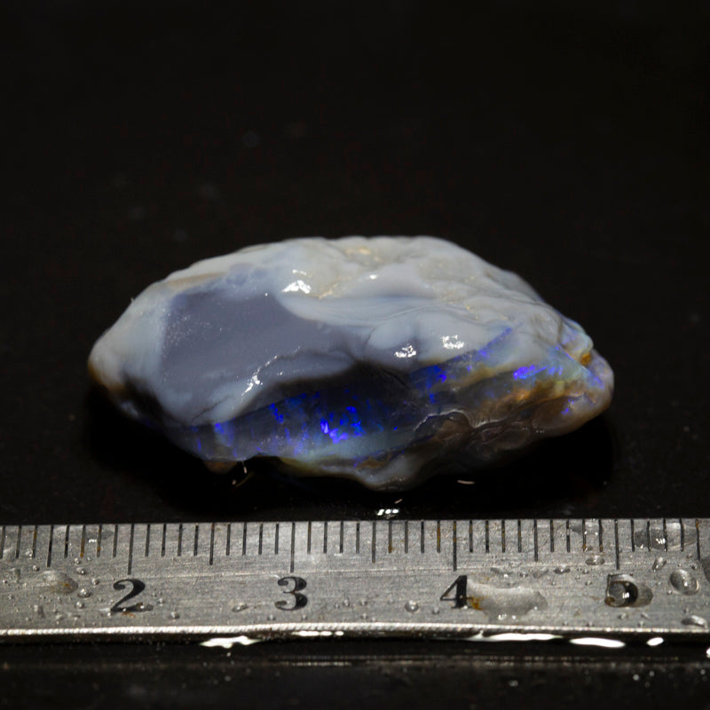 49 ct rough opal piece