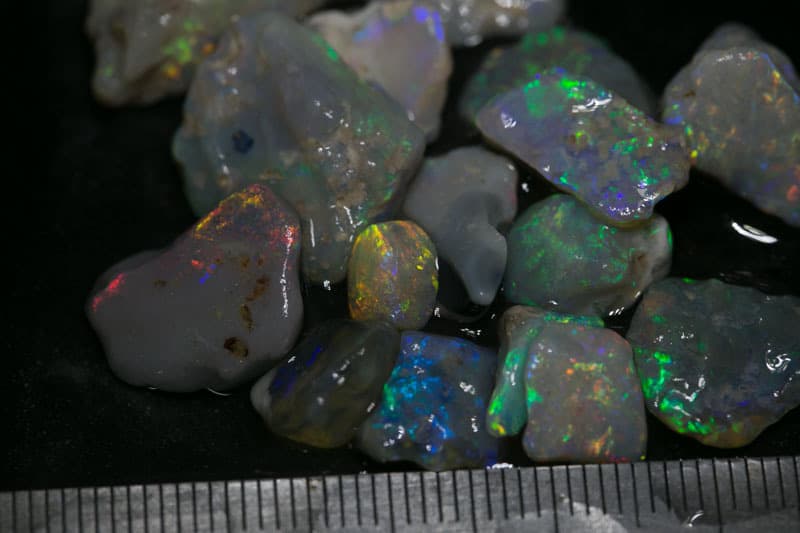 55 ct 16pc rough opal parcel for intermediate cutters