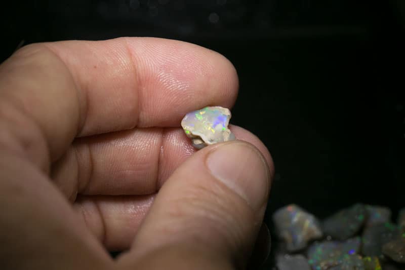 55 ct 16pc rough opal parcel for intermediate cutters