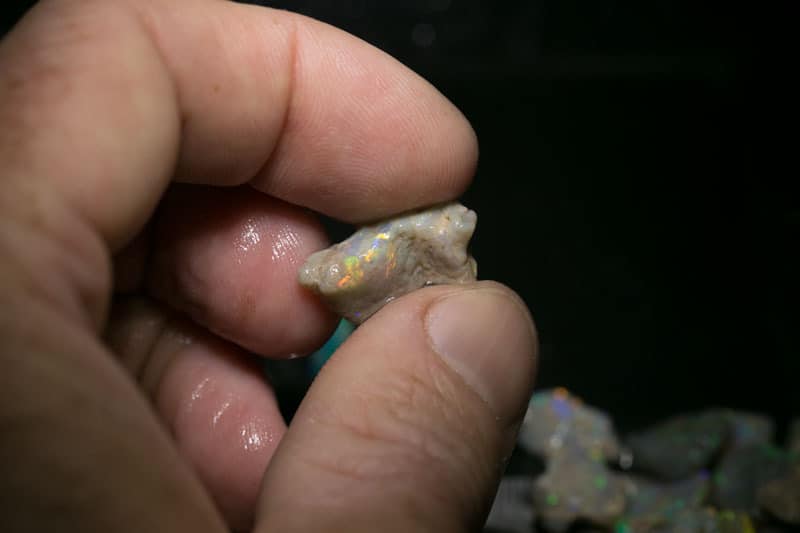 55 ct 16pc rough opal parcel for intermediate cutters