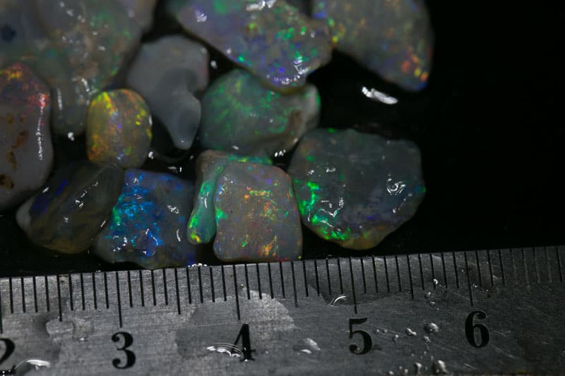 55 ct 16pc rough opal parcel for intermediate cutters