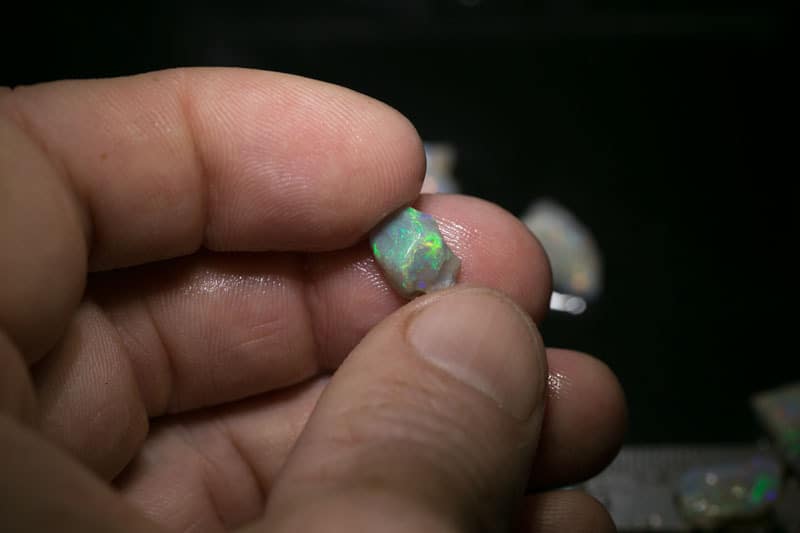 55 ct 16pc rough opal parcel for intermediate cutters