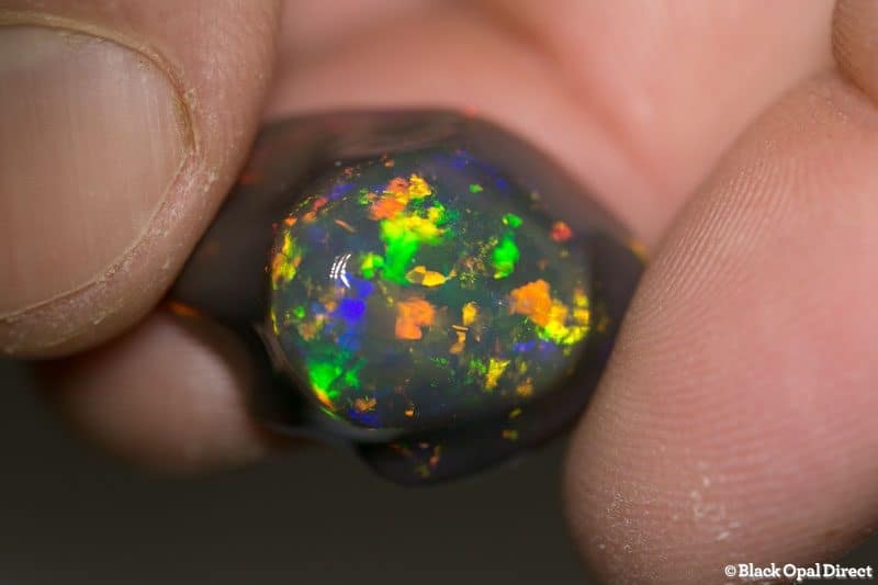 16.10 ct black opal carving 22x17x9mm