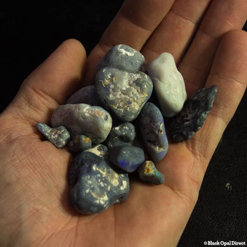 Beginner Opal cutter package