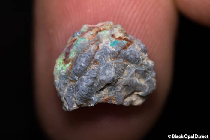 opalised pine cone
