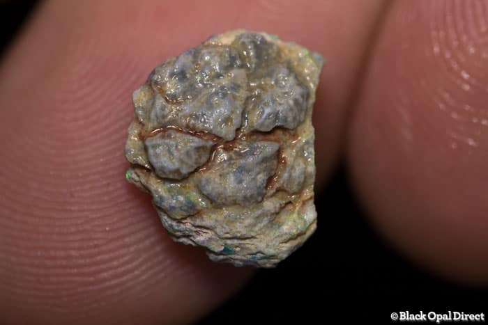 3.04 ct Opalised pine cone 13mm across