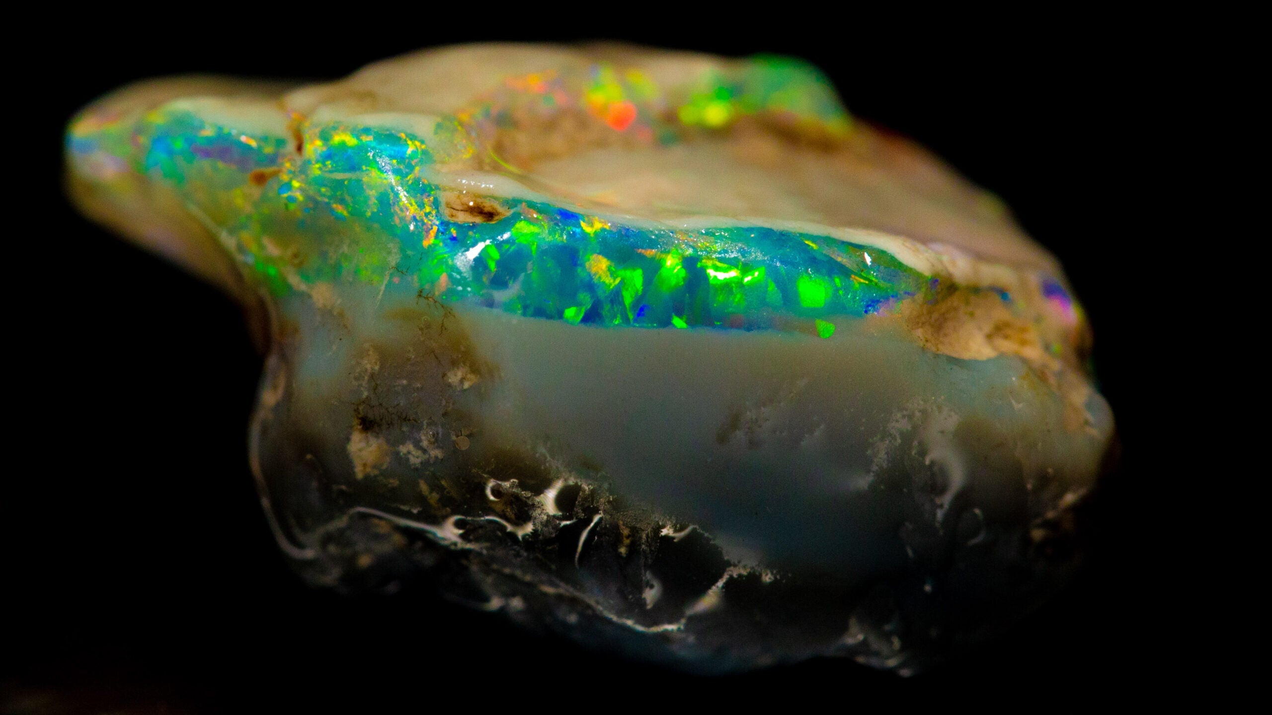 T-bone Field Opal Treasure