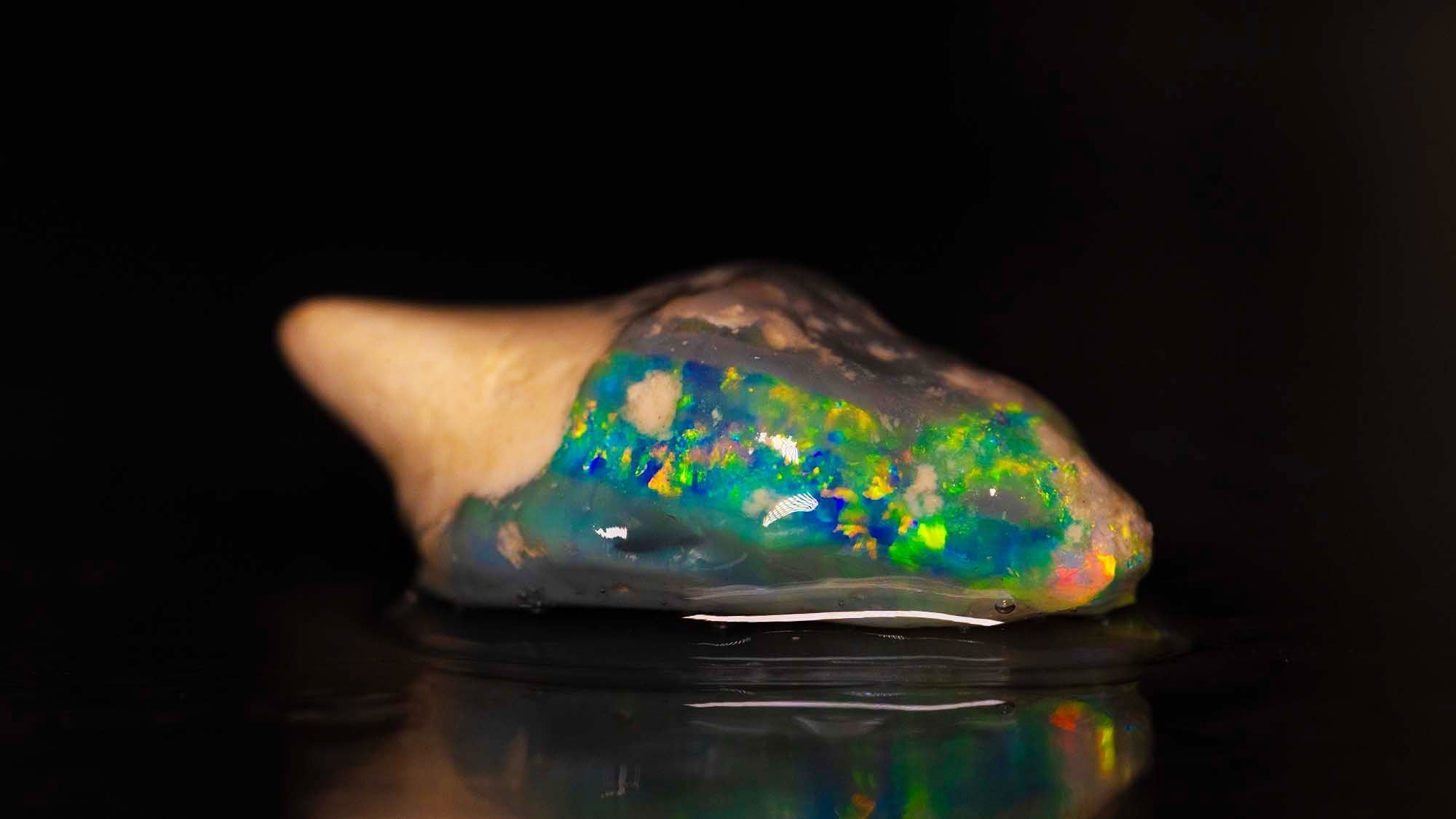 Slicing Machine vs Opal
