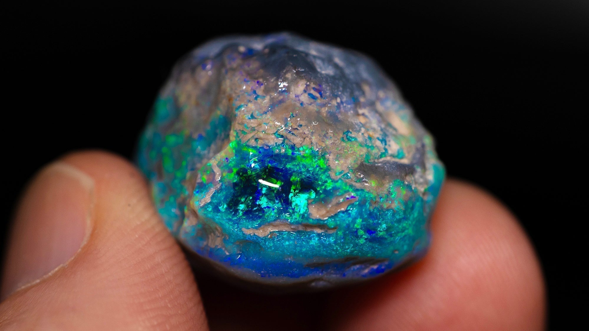 Black Opal Nobby