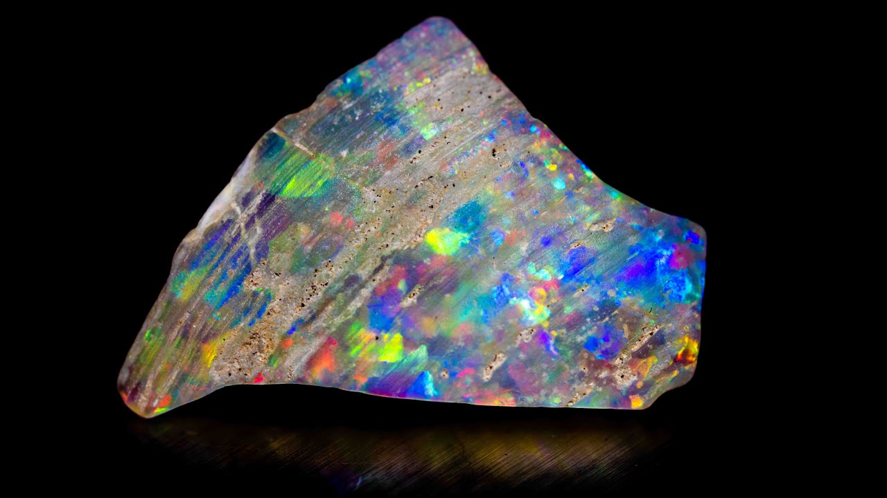Opalized Fossil