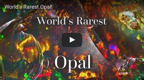 The World's Rarest Opal