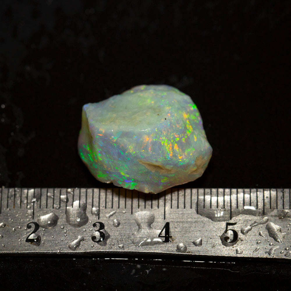 19 ct rough opal piece