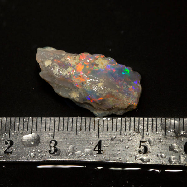 Australian 12 ct Rough Opal Piece | Lightning Ridge Rough Opal | Black ...