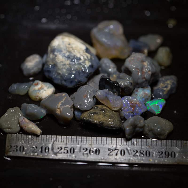 186ct Beginners Rough Opal with Video Tutorials