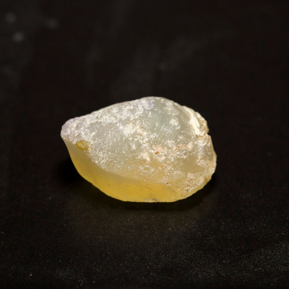 16.10 ct opal fossilised shell 21.3x13.7x11.1mm