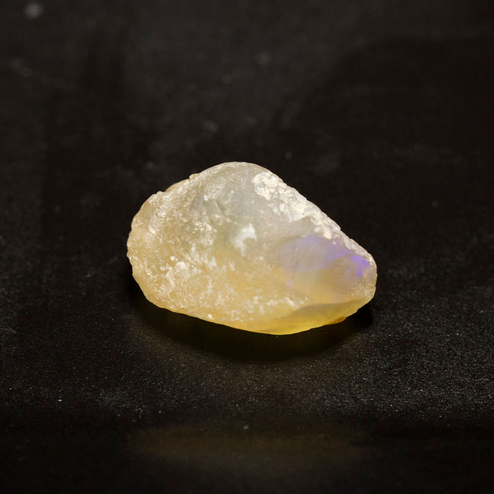 16.10 ct opal fossilised shell 21.3x13.7x11.1mm